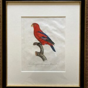 Fine Antique Prints Barraband 97