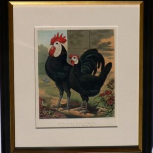 Fine Antique Prints Cassells Black Spanish FR