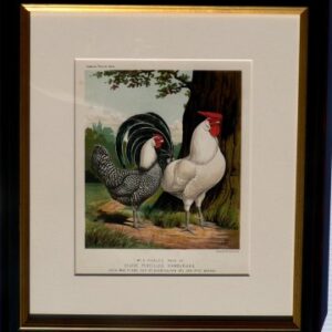 Fine Antique Prints Cassells Silver Pencilled