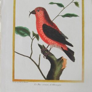 Fine Antique Prints Martinet