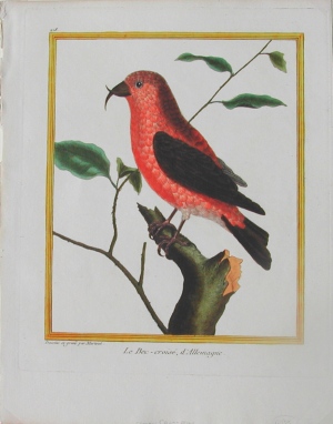 Fine Antique Prints Martinet