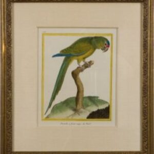 Fine Antique Prints Martinet