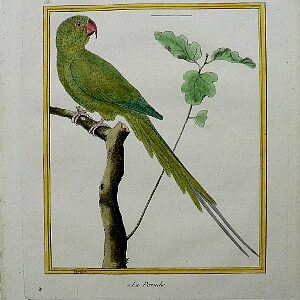 Fine Antique Prints Martinet