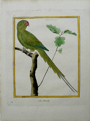 Fine Antique Prints Martinet