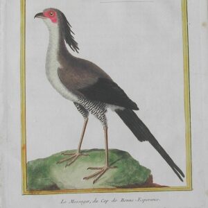 Fine Antique Prints Martinet 721