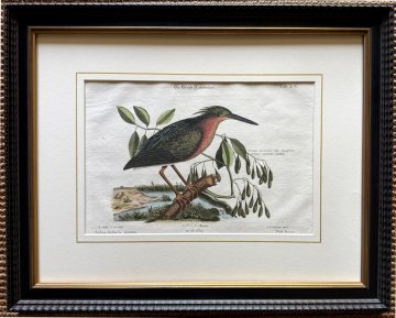 Fine Antique Prints Seligmann Catesby LX