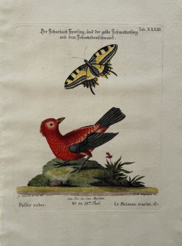 Fine Antique Prints Seligmann Edwards XXXIII