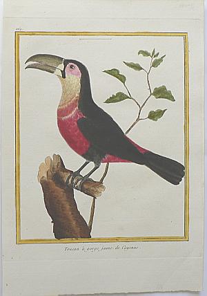 Fine Antique Prints Martinet