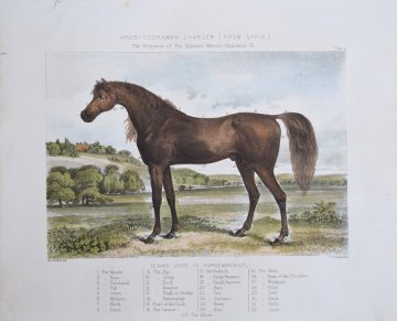 Fine Antique Prints Arab Toorkman Charger