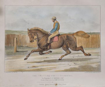 Fine Aantique Prints trotting cobb