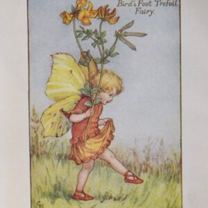 Cecily Mary - fairies