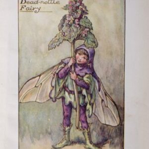(The Deadnettle Fairy) Barker, Cecily Mary. Flower Fairies. London 1920