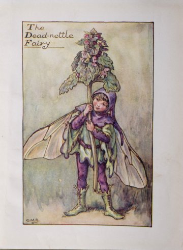 (The Deadnettle Fairy) Barker, Cecily Mary. Flower Fairies. London 1920