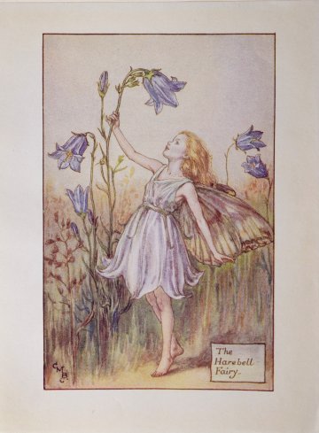 (The Harebell Fairy) Barker, Cecily Mary. Flower Fairies. London 1920