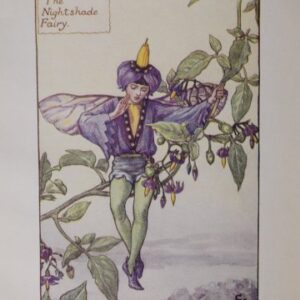 (The Nightshade Fairy) Barker, Cecily Mary. Flower Fairies. London 1920