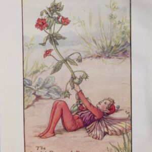 (The Scarlet Pimpernel Fairy) Barker, Cecily Mary. Flower Fairies. London 1920