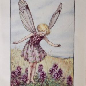 (The Wild Thyme Fairy) Barker, Cecily Mary. Flower Fairies. London 1920