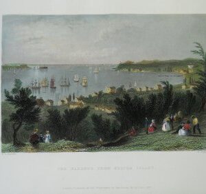 (Staten Island, New York City) William H. Bartlett. American Scenery. London, 1839