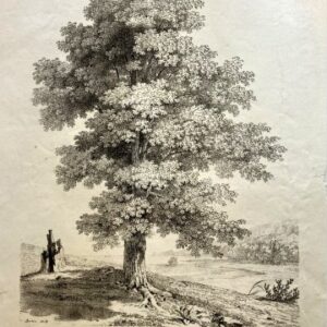 Jean Victor Bertin. (Tree study with stump) Paris 1818-20. Framed