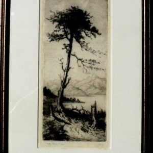 J. Alphege Brewer. The Lone Pine. Etching. British, c. 1930