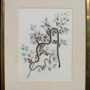 Pl. 2.57 (Green Snake with Yaupon) A Natural History of Carolina... London, 1771