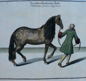 William Cavendish. (Horsemanship) Plate 8 La Methode et Invention Nouvelle… Antwerp, (1657)