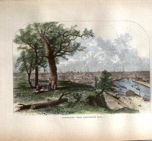 (Cleveland) New York: D. Appleton & Company, 1872