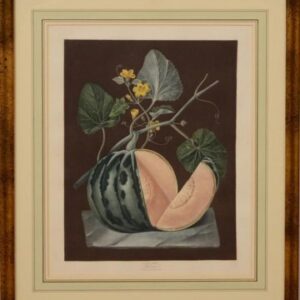 (Polignac Melon) Pomona Britannica., London, Printed by the Author by T. Bensley, [1804]-1812.