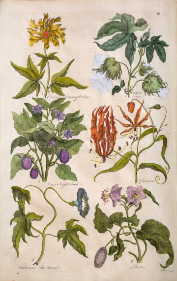 (Cotton, Nightshade, Lily, Bindweed...) Eden, or a Complete Body of Gardening. London 1756-57.