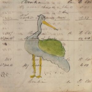 (Stork?) Watercolor and ink on paper