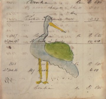 (Stork?) Watercolor and ink on paper