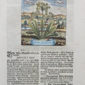 (Primula) Der Fruchtbringenden. Frankfurt, 1719.