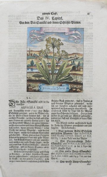 (Primula) Der Fruchtbringenden. Frankfurt, 1719.
