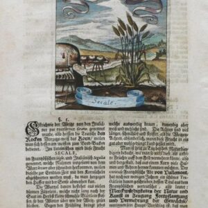 (Rye) Der Fruchtbringenden. Frankfurt, 1719.