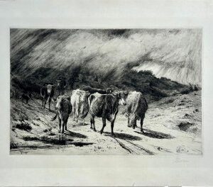 Peter Moran. A Passing Storm. Etching. 1884. Pencil signed
