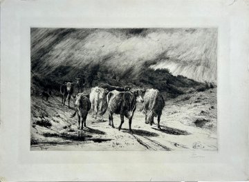 Peter Moran. A Passing Storm. Etching. 1884. Pencil signed