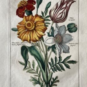 Nederlandsche Bloemweerk