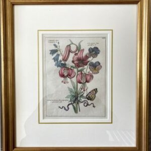 (Pink Lily, Campanula, Violets) Nederlandsche Bloemwerk…Amsterdam 1794. Framed