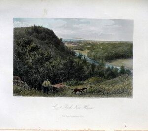 (New Haven) New York: Appleton & Co., 1874