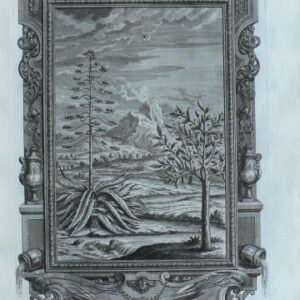Johann Scheuchzer. (Aloe) Physica Sacra. Augsberg and Ulm, 1731-1735.