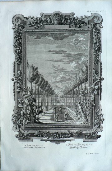 Johann Scheuchzer. Allee of Sycamore Trees. Physica Sacra. Augsberg and Ulm, 1731-1735.