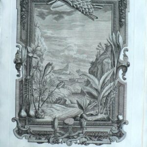 Johann Scheuchzer. (Crocus) Physica Sacra. Ulm and Augsberg, 1731-35.