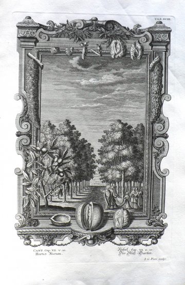 Johann Scheuchzer. (Grove of Fruit Trees) Physica Sacra. Augsberg and Ulm, 1731-1735.