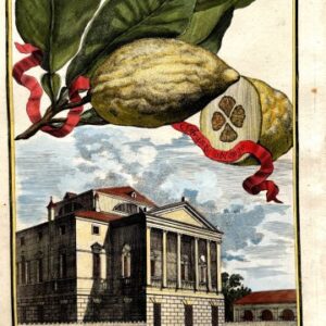 Orange (Palazzo del N.H. Conte Pio) Nurembergiische Hesperides. Nuremberg, 1708-14. Matted