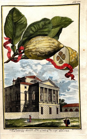 Orange (Palazzo del N.H. Conte Pio) Nurembergiische Hesperides. Nuremberg, 1708-14. Matted