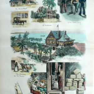 (Key West, Florida) New York: Harper's Weekly, 1896