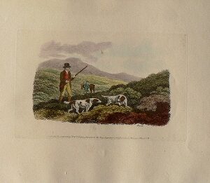 (Hunter) ...Work of Animals... London: Edward Orme, 1811