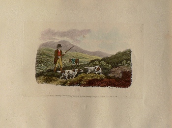 (Hunter) ...Work of Animals... London: Edward Orme, 1811