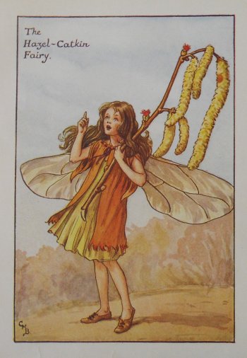 (Hazel Catkin) Barker, Cecily Mary, Flower Fairy, London 1910-25