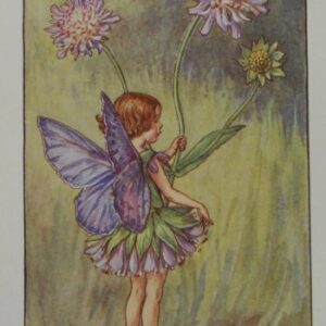 (Scabious Fairy) Barker, Cecily Mary, Flower Fairy, London 1910-25